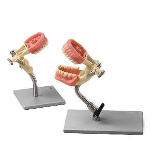 Soporte para modelos